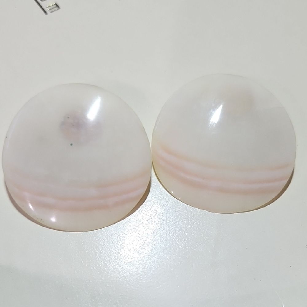Elegant White Shell Earrings